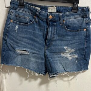 Frayed Mid-Rise Blue Denim Jean Shorts